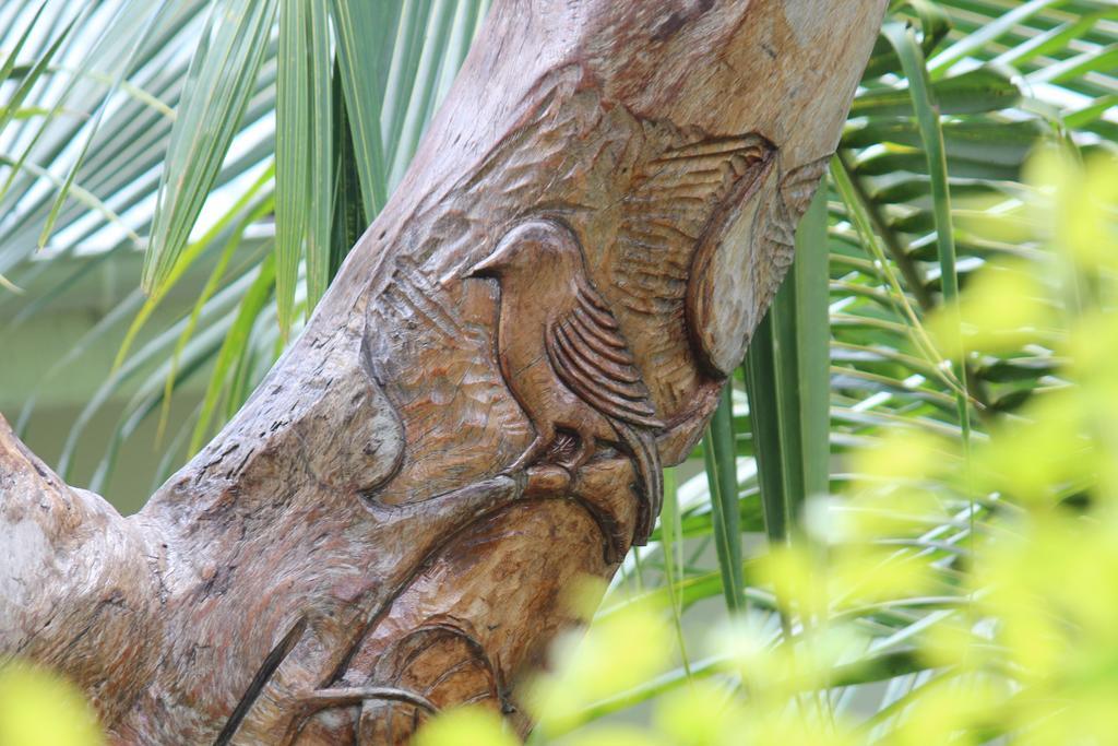 Villa Veuve Casadani Hotel La Digue Eksteriør bilde