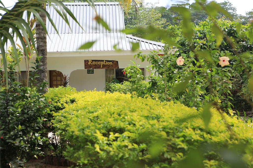 Villa Veuve Casadani Hotel La Digue Eksteriør bilde