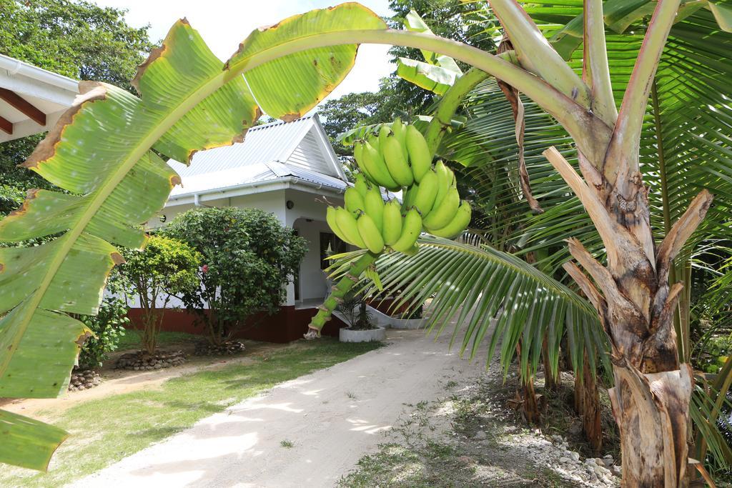 Villa Veuve Casadani Hotel La Digue Eksteriør bilde